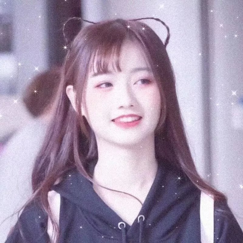 紫苑草